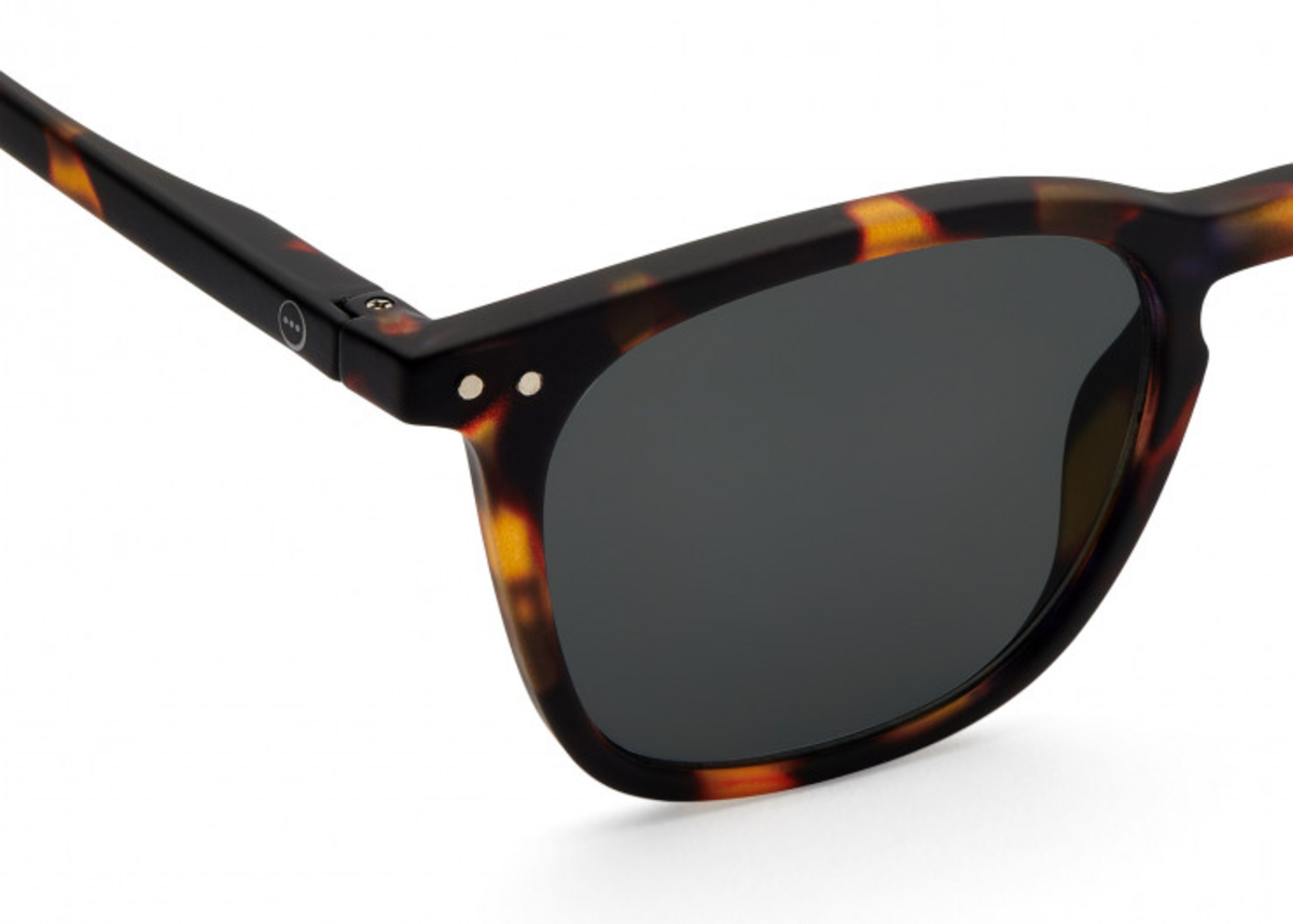 e-sun-tortoise-sunglasses (2)