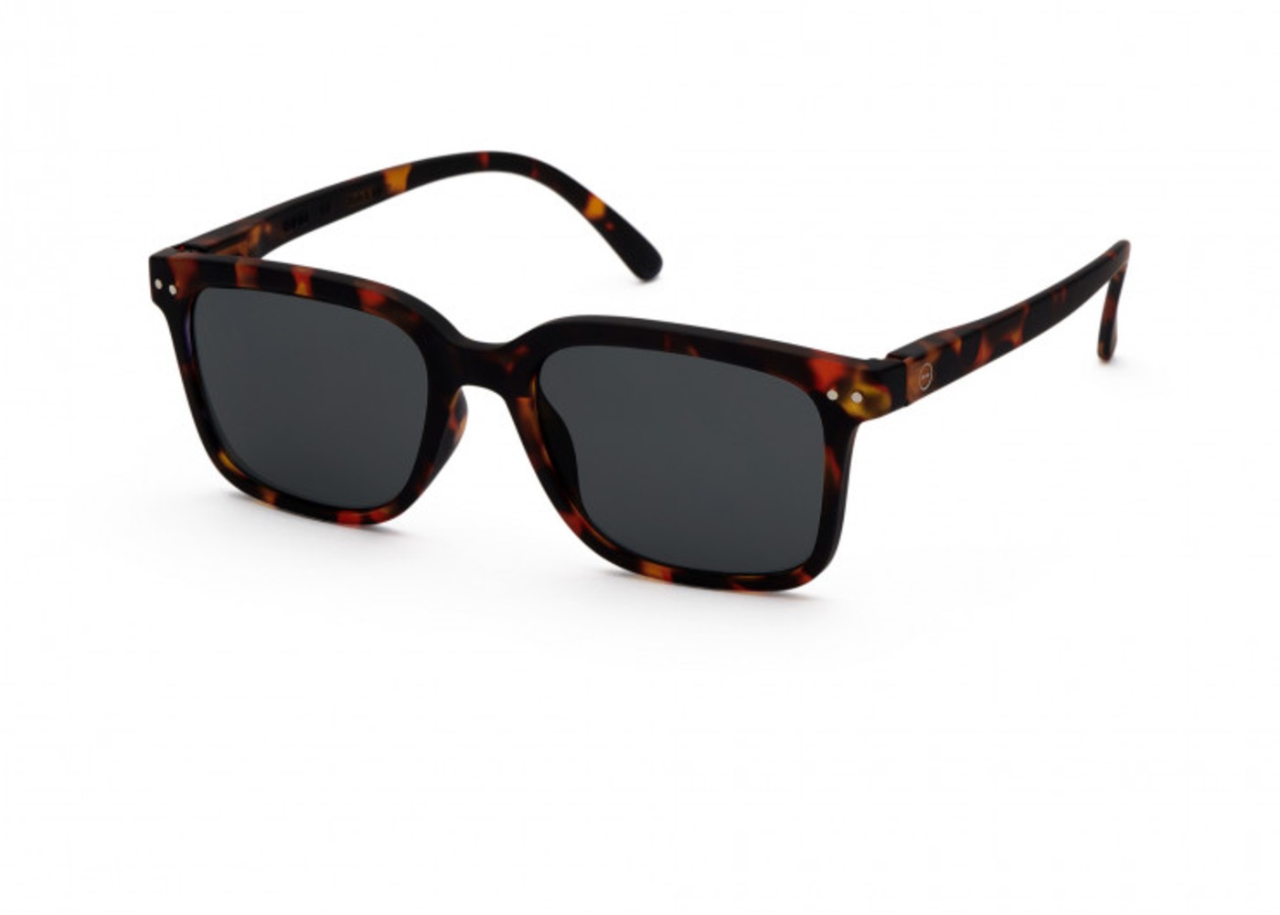 l-tortoise-reading-glasses (1) (1)