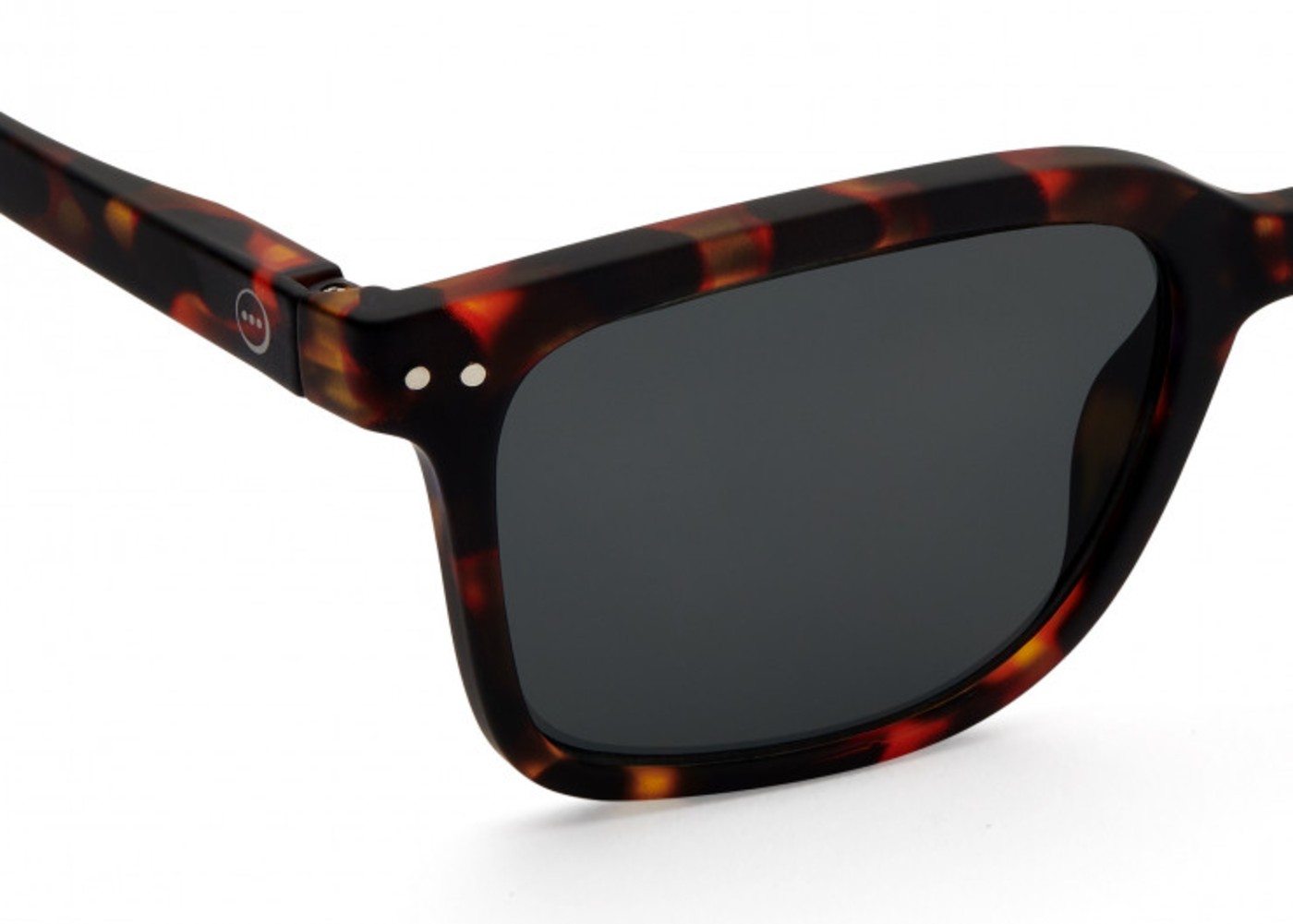 l-tortoise-reading-glasses (2)