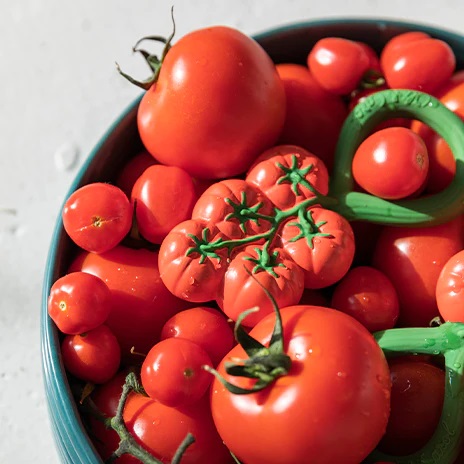 tomato4_315c8633-60e1-49e9-89b1-e6252d1d28a7