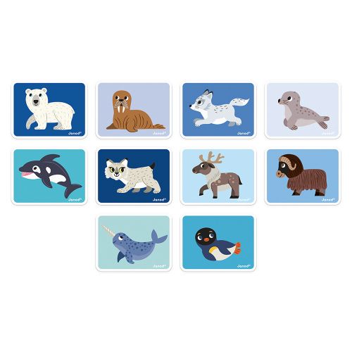 magneti-book-polar-animals (4)