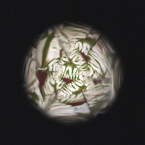flower-kaleidoscope (7)