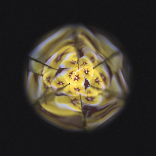 flower-kaleidoscope (8)